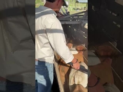 PT290 LF ตัวอ่านเครื่องประทับหูวัว