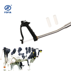 การจัดการเลี้ยงปศุสัตว์แบบ Cosecure Cattle มาตรฐาน Bolus Electronic HDX