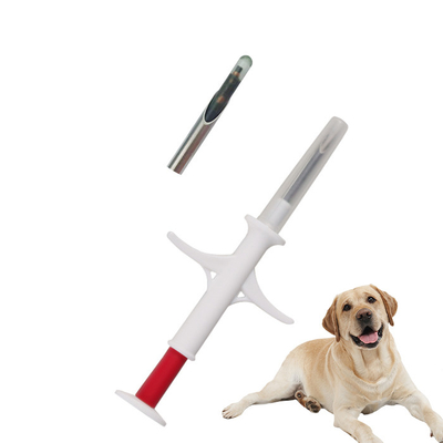 Track A Dog Microchip Animal ID Microchip ตัวเลือกที่ดีที่สุดสําหรับการระบุสัตว์ที่เรียบง่าย