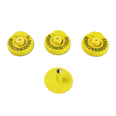 ปฏิวัติการระบุวัตถุเลี้ยงด้วย RFID Ear Tag