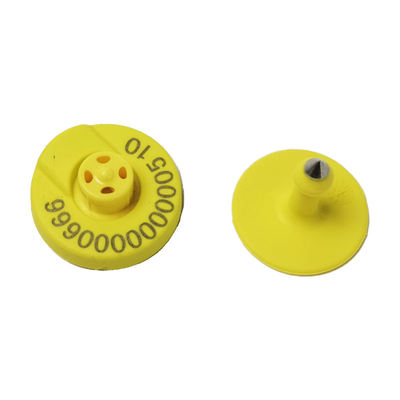 เพิ่มประสิทธิภาพสูงสุดกับ RFID Ear Tag