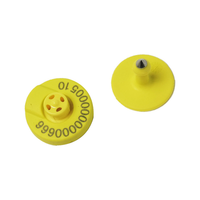 smart Electronic Cow Tags การจัดการและการระบุวัว