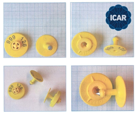 TPU ไม่แบ่งปัน ICAR Code ตราหูอิเล็กทรอนิกส์สําหรับการเลี้ยงสัตว์และการจัดการด้วย BLE Reader OEM