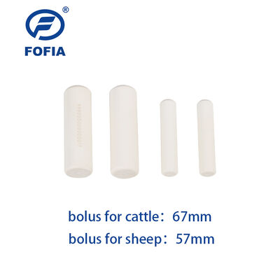 หน้าที่ reticuloruminal ขาว Rumen วัว Bolus Wireless Smart PH การวัดอุณหภูมิเซนเซอร์ ชิป ISO11784 5 FDX B