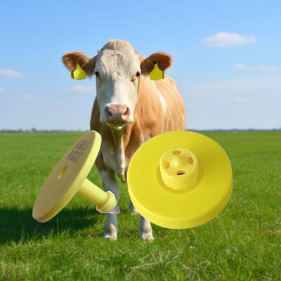 134.2kHz ISO11784/5 FDX-B ป้ายหูอิเล็กทรอนิกส์พร้อมแรงดึง 350N สำหรับระบุตัวตนปศุสัตว์