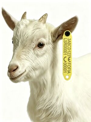 อุณหภูมิสูง ทนต่อการละลาย RFID ใส่เครื่องหมายหูอิเล็กทรอนิกส์สําหรับแกะด้วยวัสดุ TPU และชิป RFID ที่ติดตั้ง