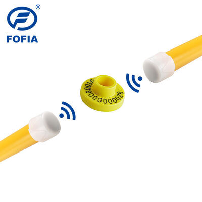 FULL ICAR Certified Durable FDX-B Electronic Ear Tags สําหรับการติดตามและระบุวัว สนับสนุนการติดตามสัตว์และการติดตามทางฟาร์ม