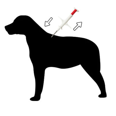 ZS007 Ultra-Small & Lightweight Small Animal ID Tracking Kit สําหรับสําหรับการระบุสัตว์เลี้ยง