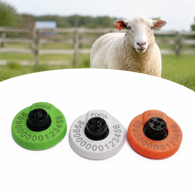 TPU cow ear tags HDX compliance standards lightweight strong tags engineered for cattle tracking and farm record keeping