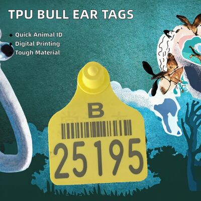 แท็กหูแกะ TPU ที่ได้รับการรับรองจาก ICAR ที่สามารถปรับเปลี่ยนได้