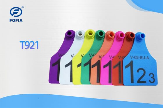 T921 สัตว์ แมวเหลือง แมวสัตว์ ตราหู RFID TPU ฟาร์ม