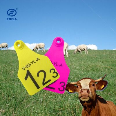 T921 แท็กหูสัตว์ สีเหลือง RFID TPU Tracking สําหรับการใช้ในฟาร์มวัว