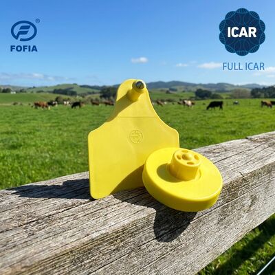 การรับรอง ICAR ครบถ้วน 134.2KHz RFID แท็กหูอิเล็กทรอนิกส์สําหรับการระบุหมู แกะ