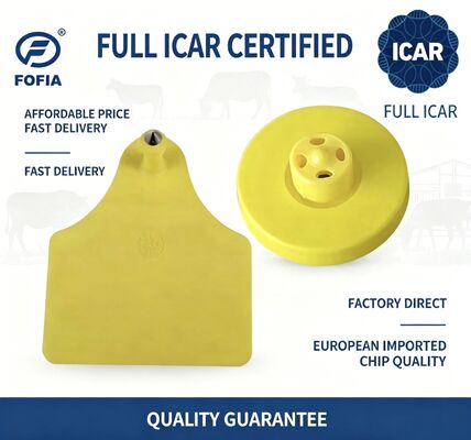 Full ICAR ET908+T905 RFID กันน้ํา TPU แท็กหูสัตว์สีเหลือง FDX-B 134.2Khz EM4305 ชิปวัว