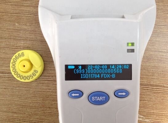 ตัวอ่านมือ RFID ทนทาน พร้อมจอ OLED ขนาด 128x32 USB สําหรับพลาสติก