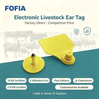 TPU Fofia ICAR T904 ปศุสัตว์หูแท็กสำหรับวัวแกะหมูวัวแพะ
