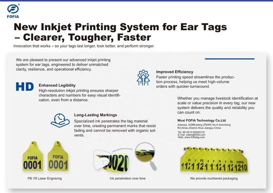 HDX RFID Ear Tags FULL ICAR Certified Livestock Tracking System สําหรับวัว แกะ แกะ หมู