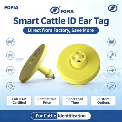 Full ICAR ET908+T901 RFID กันน้ํา LF TPU สีเหลือง แท็กหูสัตว์ 14.5mm EM4305 ชิป 5 ปี รับประกัน
