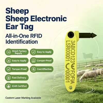 FOFIA ทนทานบูรณาการต้านการหลุด ไลเซอร์โค้ดอิเล็กทรอนิกส์ T969 แมวเหลือง RFID Tag หู TPU วัสดุสัตว์