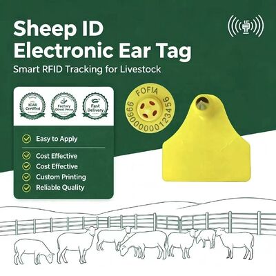 Fofia รวมกันกันน้ํา อิเล็กทรอนิกส์สัตว์ติดตาม ear tag ใหม่คุณภาพสูง RFID TPU เลเซอร์โคด 3 ปีการรับประกันแพะ