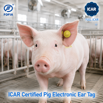 Fofia ET908 RFID Animal Ear Tag 134.2KHz FDX-B แท็กประจําตัวสัตว์ที่สมาร์ท พร้อม ICAR ครบ