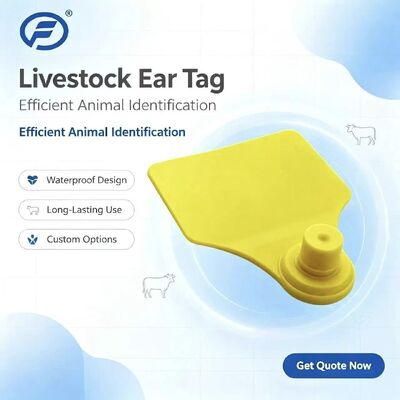 ICAR Fofia T904 สัตว์ Ear Tag Chip สินค้าใหม่คุณภาพสูง RFID TPU เลเซอร์โคด 3 ปี การรับประกันการใช้งานฟาร์มสําหรับการติดตามวัว