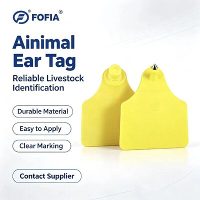 ICAR T904+T905 ชุดหูฟังสำหรับสัตว์ RFID TPU คุณภาพสูง 70*57 มม. การเข้ารหัสเลเซอร์ รับประกัน 3 ปี สำหรับใช้ในฟาร์มสำหรับโค
