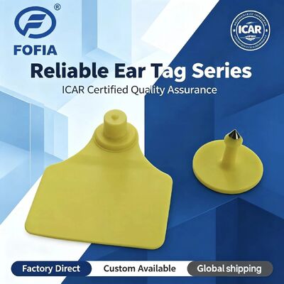 ICAR กันน้ํา Fofia T904+T901 แท็กหูสัตว์ คุณภาพสูง RFID TPU 72 * 57mm เลเซอร์โคด รับประกัน 3 ปีสําหรับการใช้ในฟาร์ม