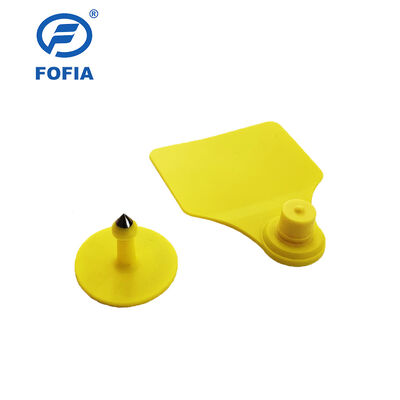 ICAR กันน้ํา Fofia T904+T901 แท็กหูสัตว์ คุณภาพสูง RFID TPU 72 * 57mm เลเซอร์โคด รับประกัน 3 ปีสําหรับการใช้ในฟาร์ม