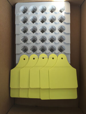 ICAR T904+T905 ชุดหูฟังติดตามสัตว์ใหม่คุณภาพสูง RFID พลาสติก TPU 70*57 มม. การเข้ารหัสเลเซอร์ รับประกัน 3 ปี ฟาร์ม