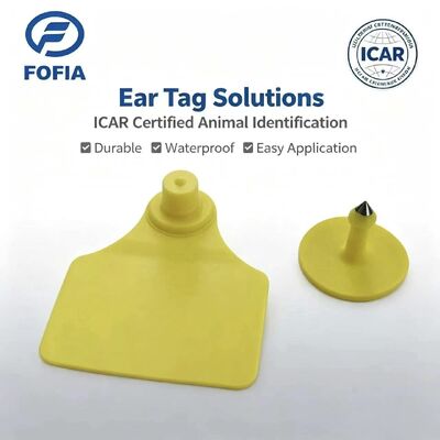 น้ําทนทาน ICAR Fofia T904 + T901 ชิปติดป้ายหูสัตว์ RFID TPU ไลเซอร์โคด 3 ปีรับประกันการติดตามวัว