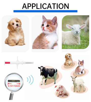 ปลอกคอสำหรับสุนัข Fofia กันน้ำ รุ่นขายดี RFID 134.2kHz วัสดุ PP ไมโครชิปสำหรับสัตว์เลี้ยงแบบฉีด ใช้งานในฟาร์ม ป้ายหู 1.5 ปี