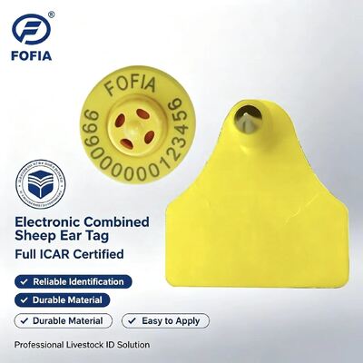 ป้ายหูอิเล็กทรอนิกส์ Fofia Full ICAR Combination สำหรับแกะและแพะ ระบบติดตาม RFID คุณภาพสูง พลาสติก TPU การเข้ารหัสเลเซอร์ รับประกัน 3 ปี