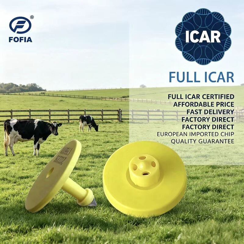 แท็กหูอิเล็กทรอนิกส์ ออกแบบ TPU ทนทานที่ได้รับการรับรองจาก ICAR สําหรับการติดตามวัวและระบบการจัดการวัวที่ครบวงจร