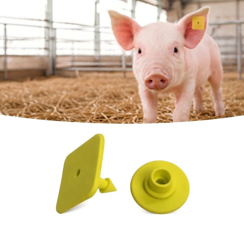 การพิมพ์เลเซอร์สัญลักษณ์หูหมู ที่มีมาตรฐานการปฏิบัติตาม EPC Gen2 V2 0 เหมาะสําหรับการติดตามสัตว์และการจัดการฟาร์ม