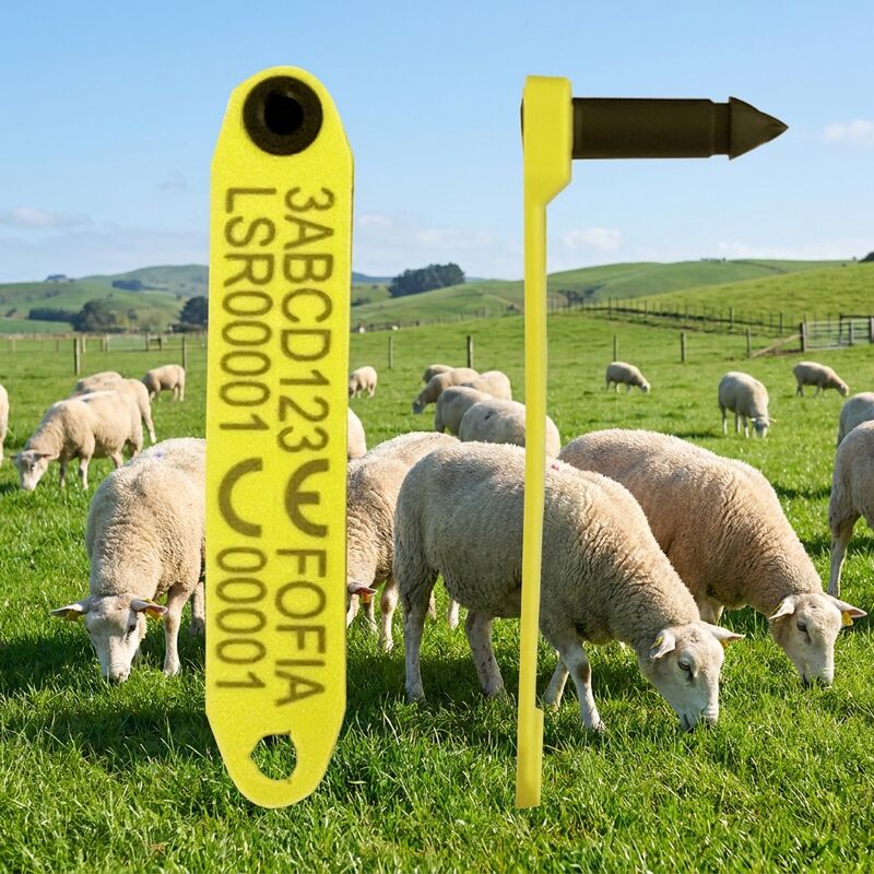 ICAR อนุมัติ FDX-B HDX RFID Sheep Ear Tag ET969 สําหรับการติดตามสัตว์เลี้ยง