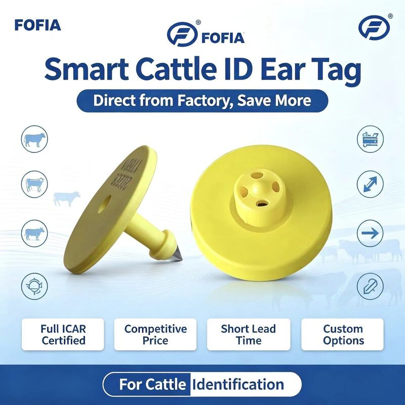Full ICAR ET908+T901 RFID กันน้ํา LF TPU สีเหลือง แท็กหูสัตว์ 14.5mm EM4305 ชิป 5 ปี รับประกัน