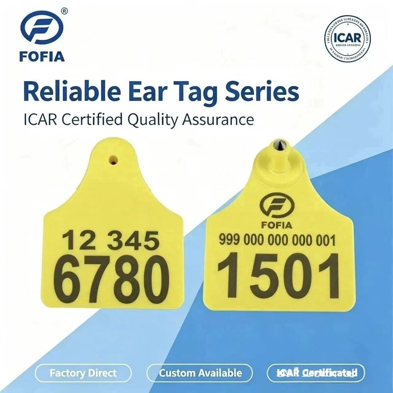ป้ายหูสัตว์ ICAR T904+T905 แบบผสมใหม่ คุณภาพสูง RFID พลาสติก TPU 70*57 มม. การเข้ารหัสเลเซอร์ รับประกัน 3 ปี ติดตามสัตว์