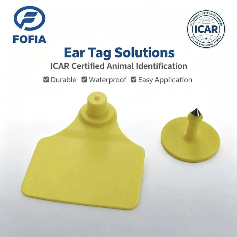น้ําทนทาน ICAR Fofia T904 + T901 ชิปติดป้ายหูสัตว์ RFID TPU ไลเซอร์โคด 3 ปีรับประกันการติดตามวัว