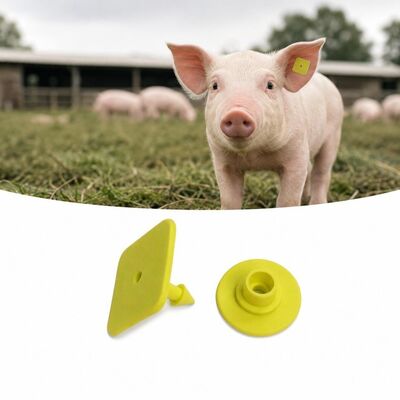 UHF Electronic Animal Ear Tag TPU Lightweight 3.2 Grams Tag การระบุตัวสําหรับการติดตามและรวบรวมข้อมูลสัตว์ที่แม่นยํา
